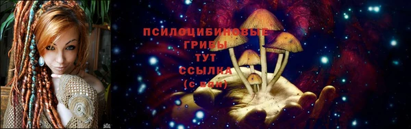 ALPHA-PVP Нязепетровск