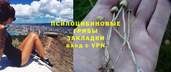 ALPHA-PVP Нязепетровск