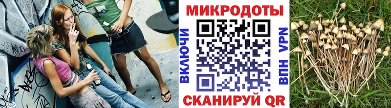 Псилоцибиновые грибы MAGIC MUSHROOMS  Салаир 